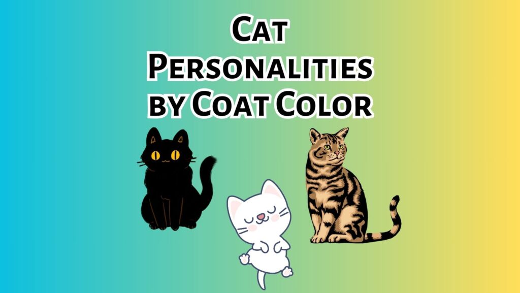 Cat Personalities by Coat Color