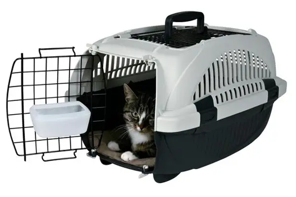 Best Cat Carrier For Airplane