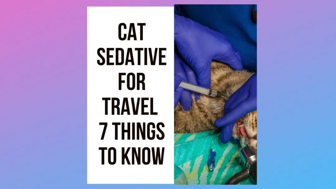animal sedatives for travel