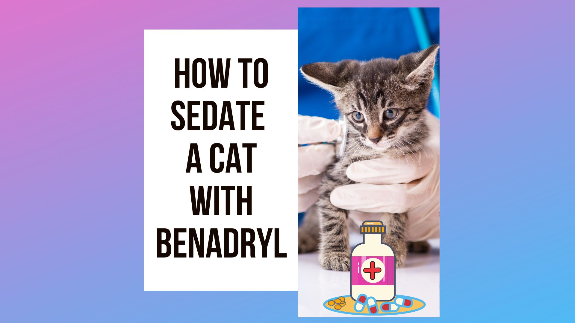 Ways to Sedate a Cat With Benadryl