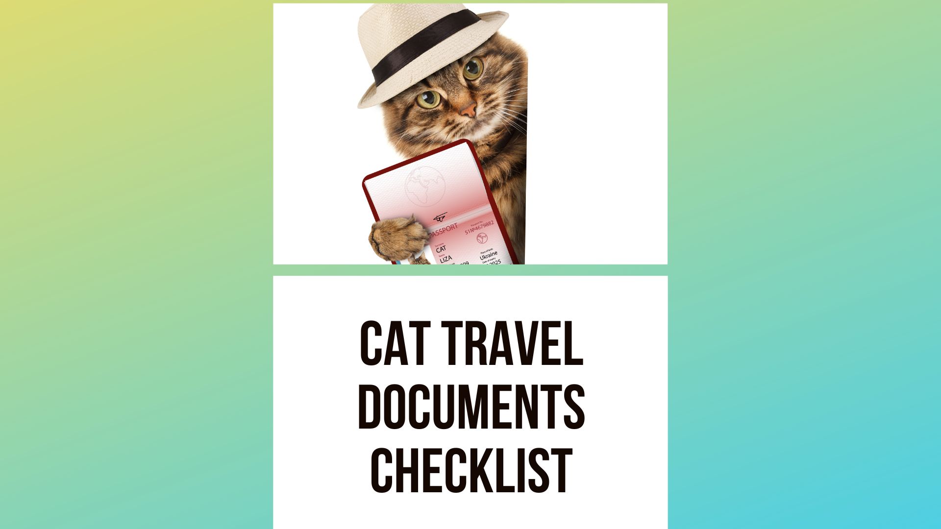 Cat Travel Documents Checklist