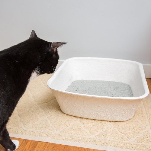 Large Disposable Cat Litter Boxes