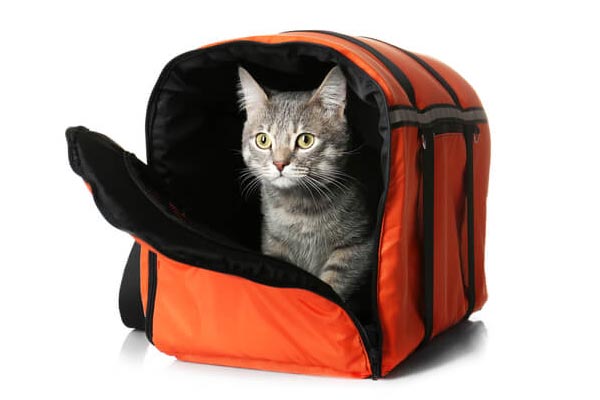 tranquilizer for cats to travel