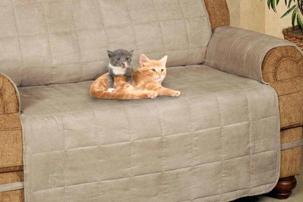 cat proof slipcovers