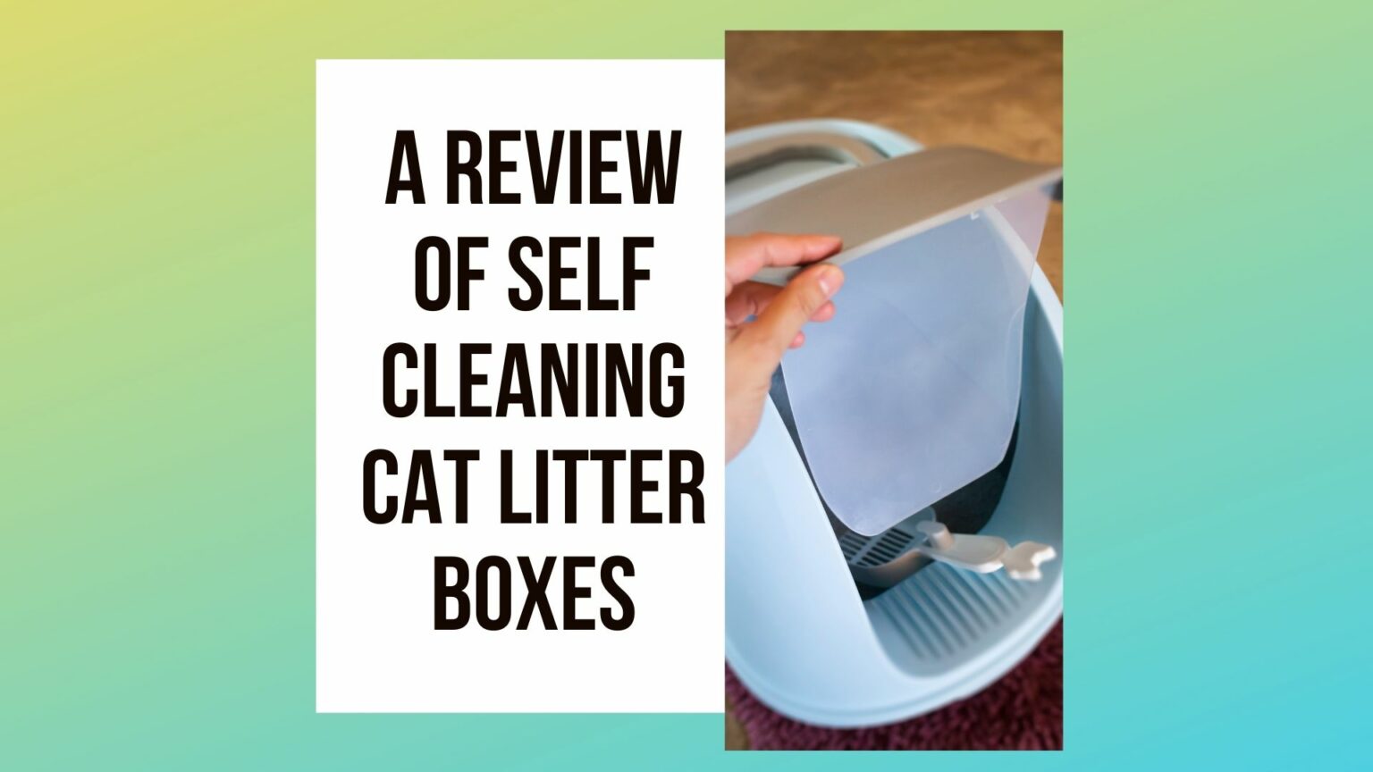 View of 5 Best Self-cleaning Cat Litter Boxes review! - Traveling With Your Cat
