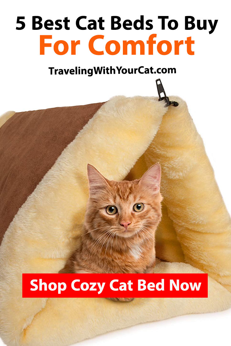 Best Cat Beds