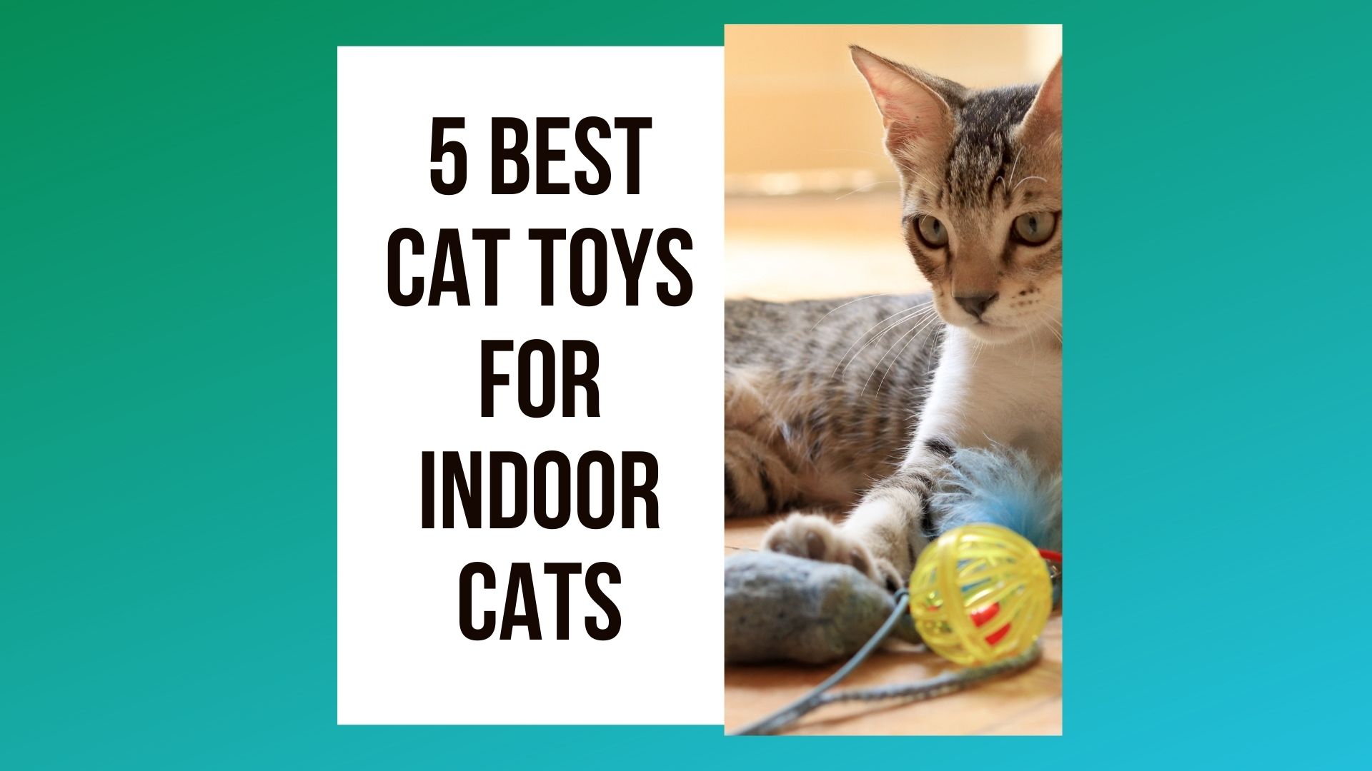 best cat toys for indoor cats