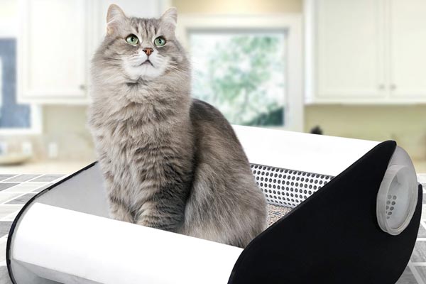 best cat litter tray