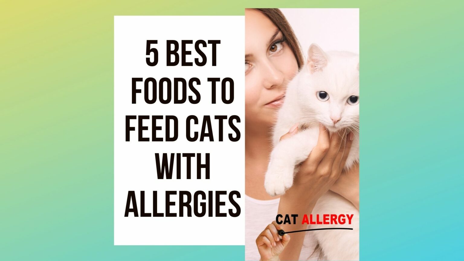 5 Best Cat Food with Allergies In Cats To Feed Traveling With Your Cat