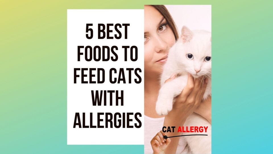 5 Best Cat Food with Allergies In Cats To Feed Traveling With Your Cat