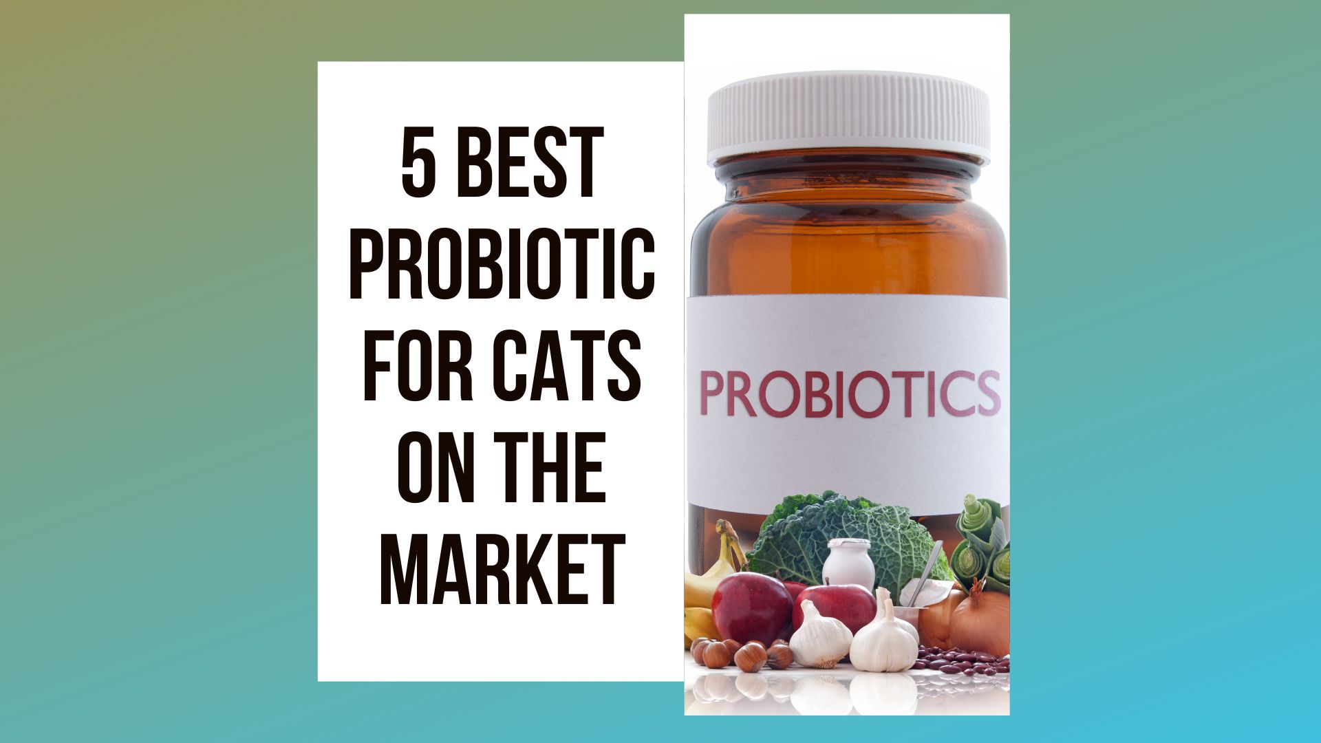 Best Probiotics For Cats