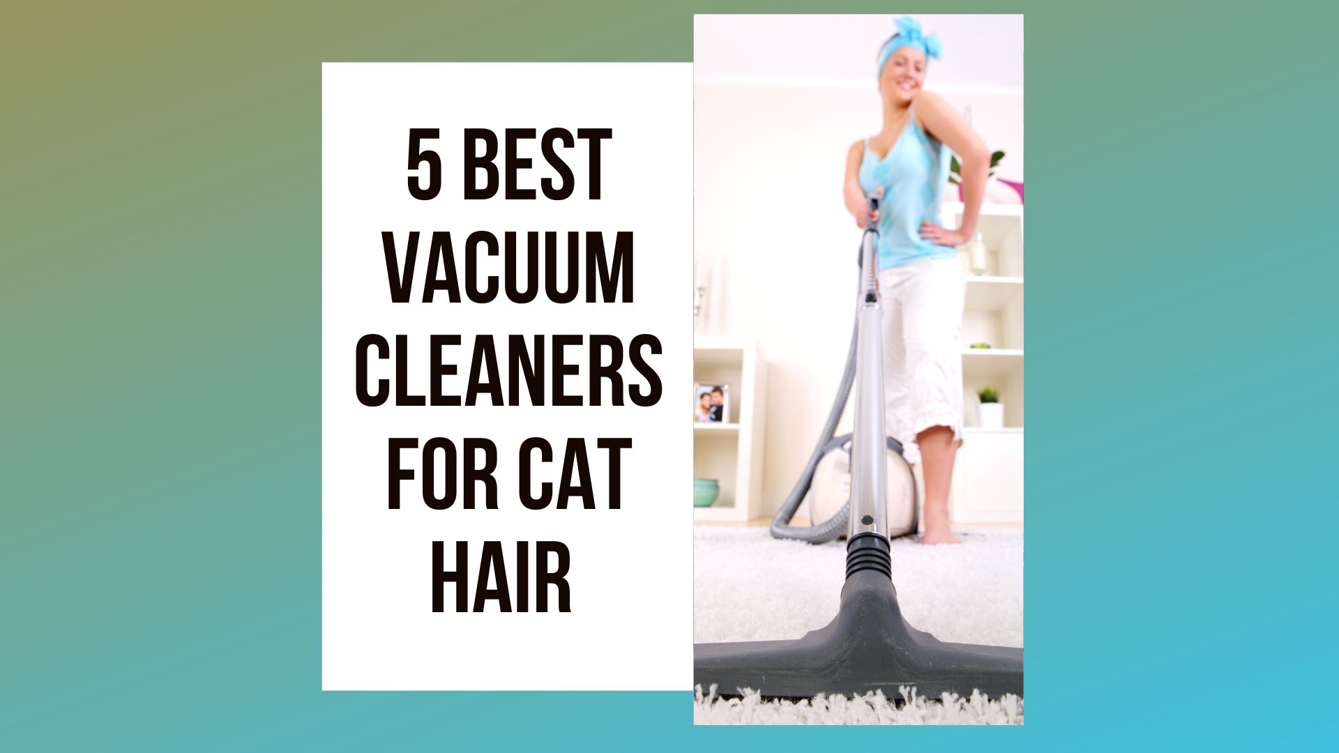 5 Best Vacuum Cleaners For Cat Hair