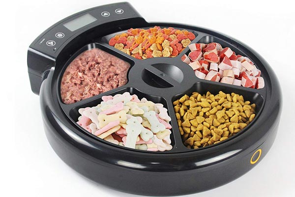 JEMPET Automatic Pet Feeder Cats Dogs