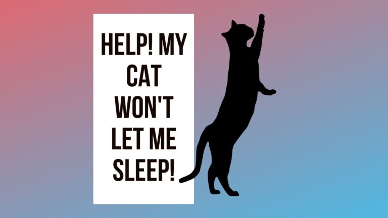 Help! My Cat Won’t Let Me Sleep! 2022 Review