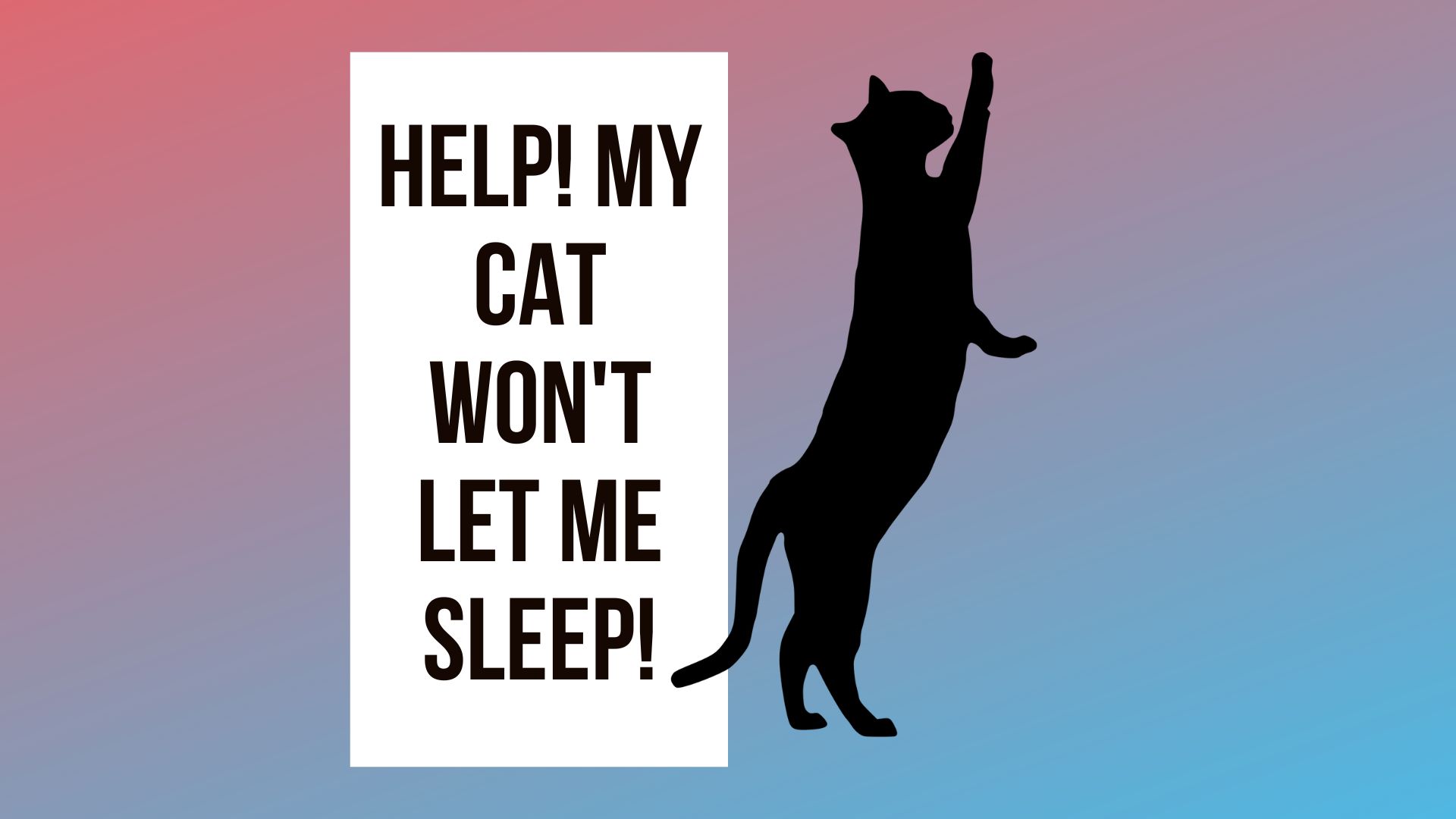 My Cat Won't Let Me Sleep!