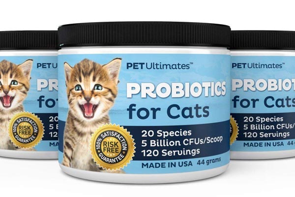 Pet Ultimates Probiotics for Cats