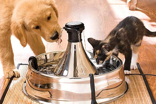 PetSafe Drinkwell 360