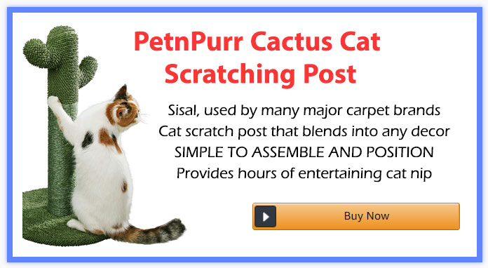 cactus cat scratch post