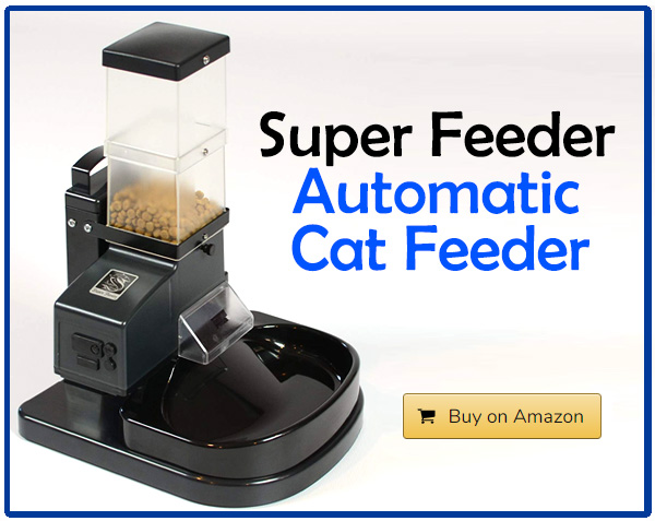 The 5 Top Rated Automatic Cat Feeders Traveling With Your Cat