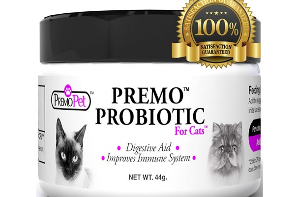 premo pet probiotic for cats