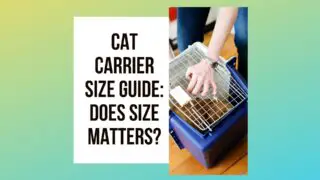 Cat Carrier Size Guide In 2022