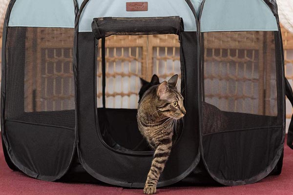 Easyology Cat Playpen for Indoor Cats