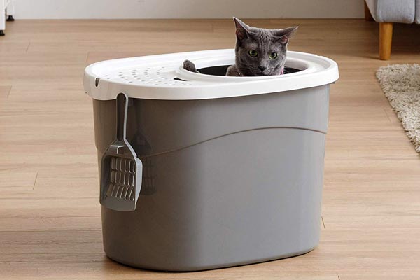 IRIS Top Entry Cat Litter Box with Scoop