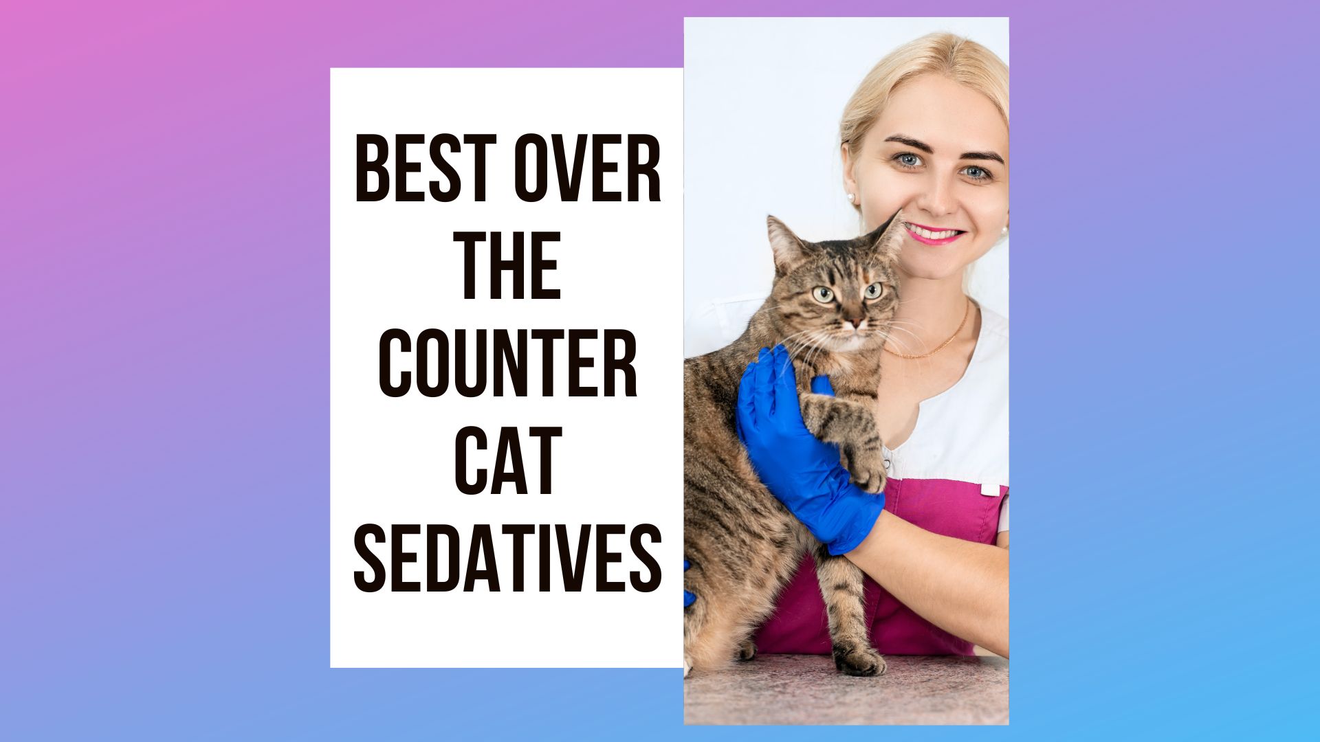 Need an Over the Counter Cat Sedative?