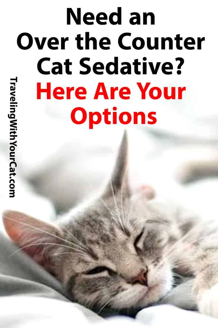 Need an Over the Counter Cat Sedative? Here Are Your Options
