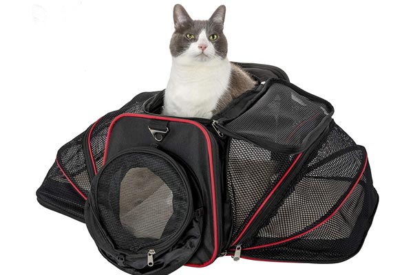 Premium Airline Approved Expandable Pet Carrier by Pet Peppy