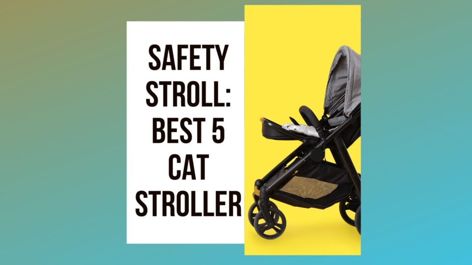 Take Your Cat on a Safety Stroll 5 Best Cat Strollers