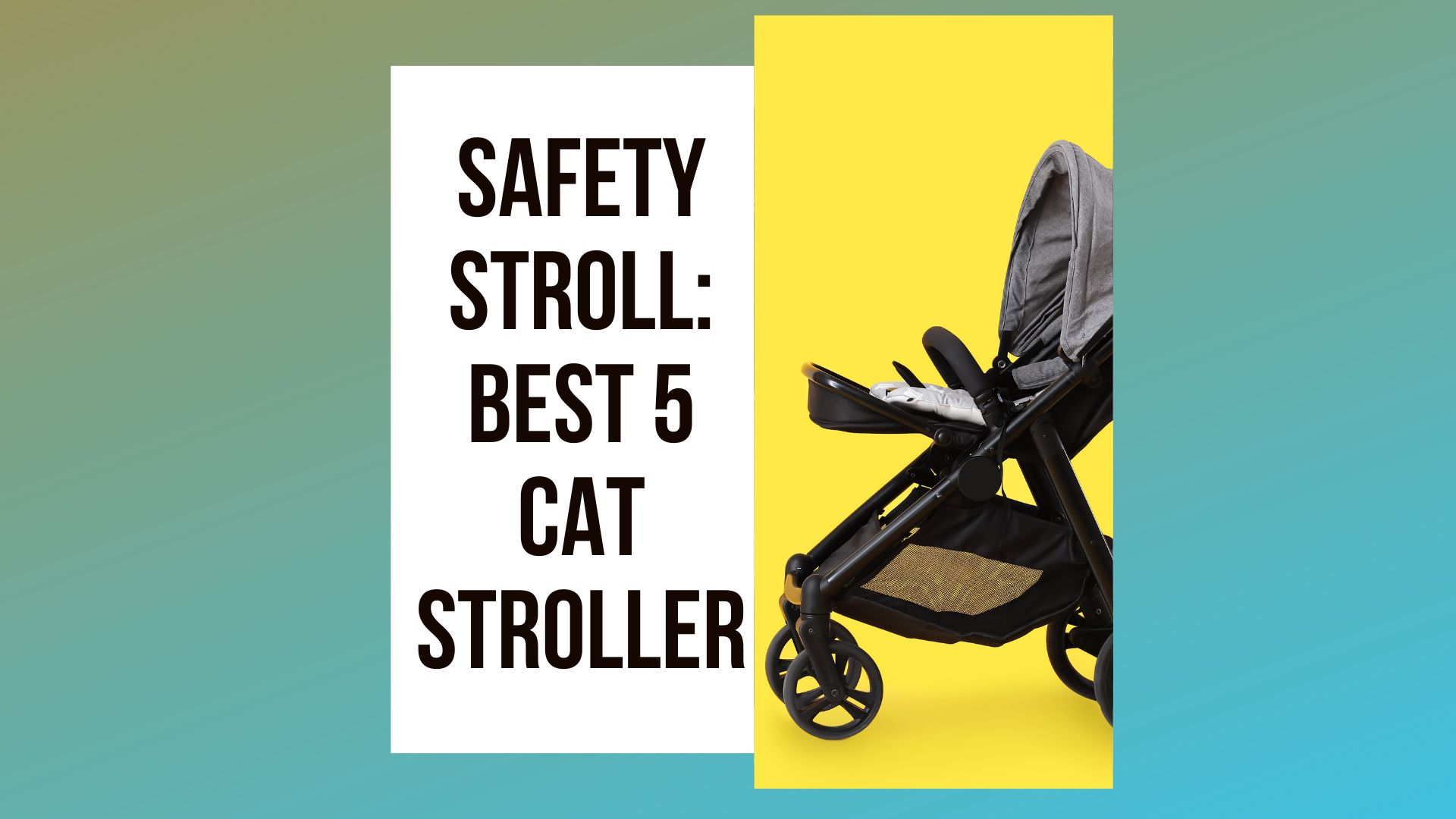 Safety Stroll Best Cat Strollers