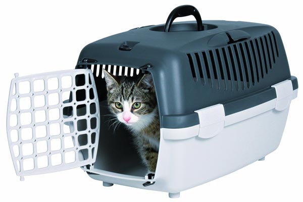 Should I cover the cat carrier when traveling