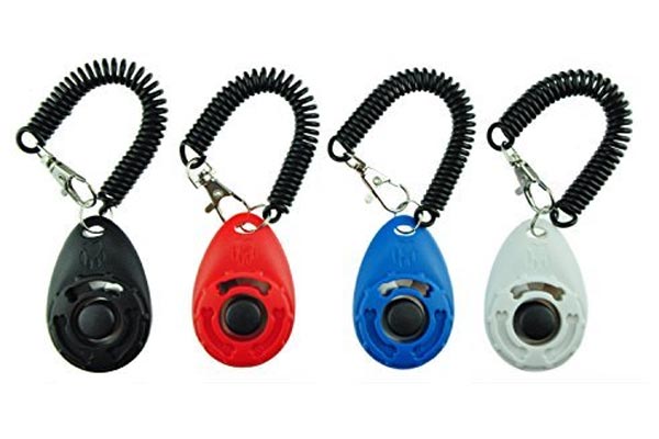 Training Clicker with Wrist Strap