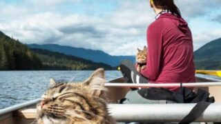 kayaking with cat
