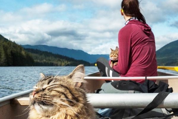 kayaking with cat