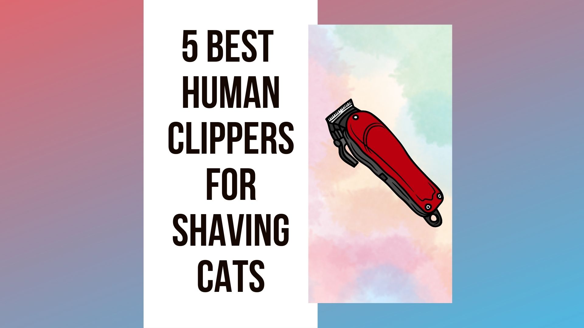 Can You Shave a Cat With Human Clippers? 5 Options