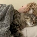 how do cats choose who to sleep with
