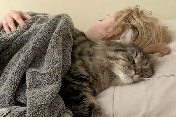 How Do Cats Choose Who to Sleep With? Kitty Cuddles