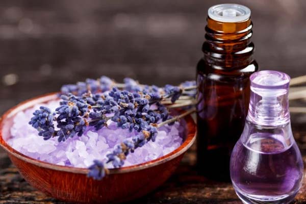 what essential oils are safe for cats