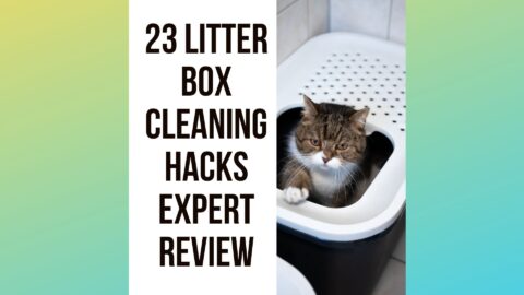 23 Cat Litter Box Cleaning Hacks - Traveling With Your Cat