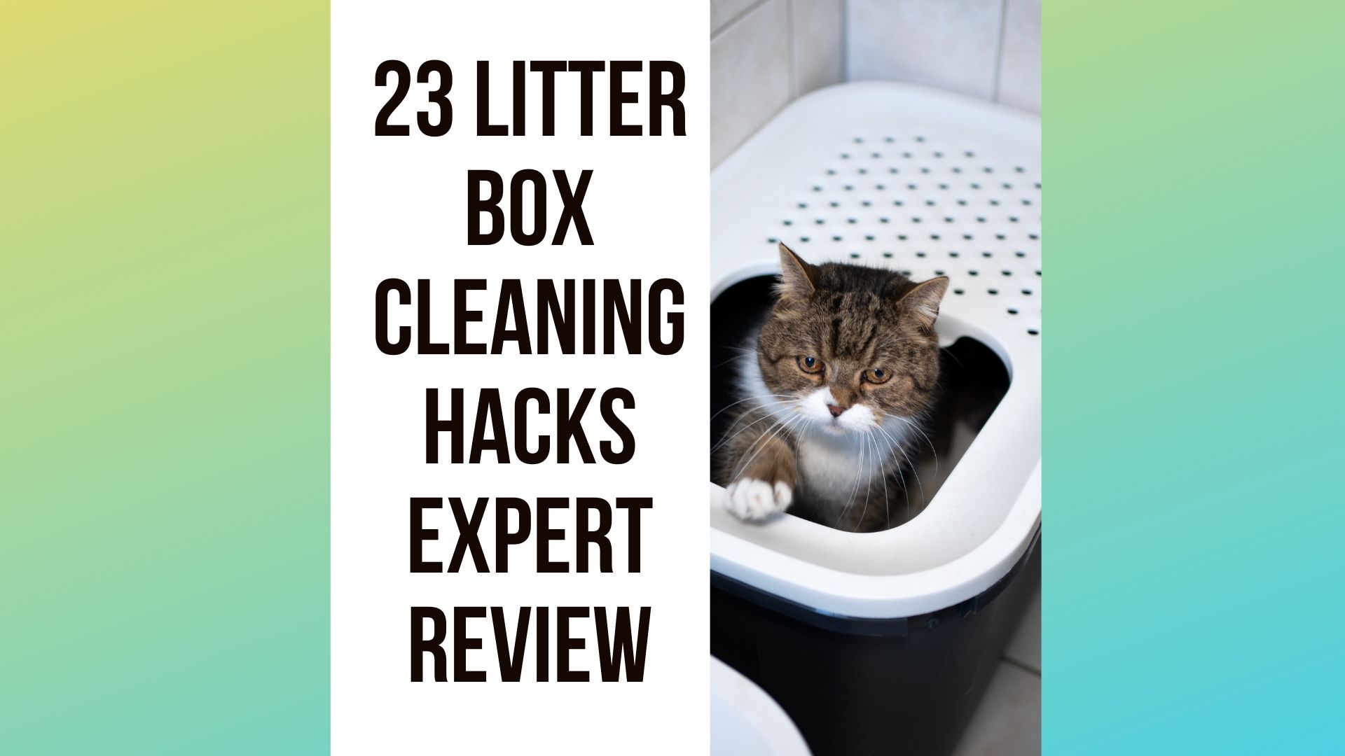 23 Cat Litter Box Cleaning Hacks