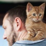 Why Do Cats Like Earwax