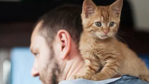 Gross but Healthy Reasons Why Cats Eat Human Earwax