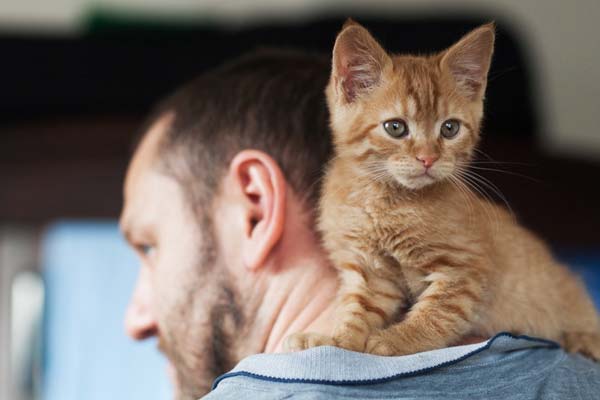 do cats love humans