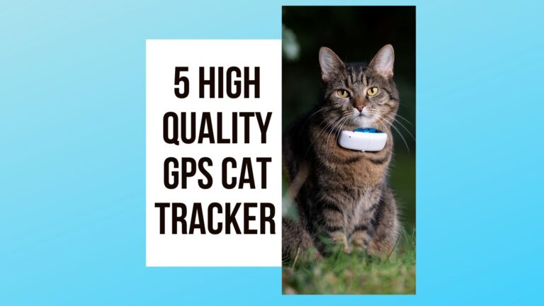 Track Your Cat With the Best GPS Cat Tracker