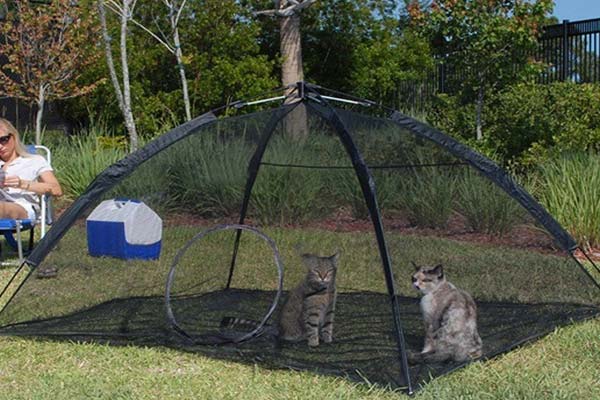 Make Your Patio Into A Catio A Guide To The Best Cat Enclosures