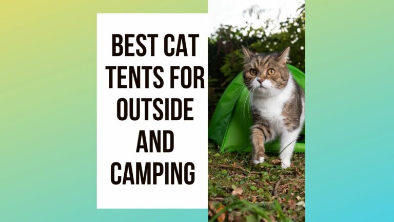 Outdoor Cat Tents: Safe Stimulation