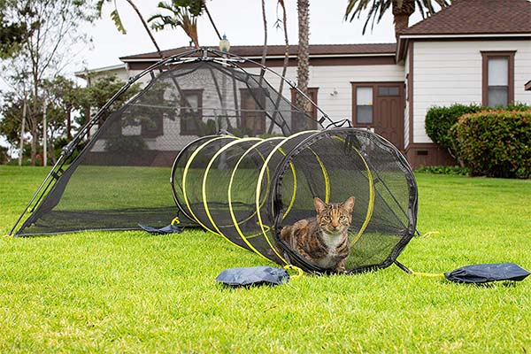 Outdoor Cat Tents: Safe Stimulation | Traveling With Your Cat
