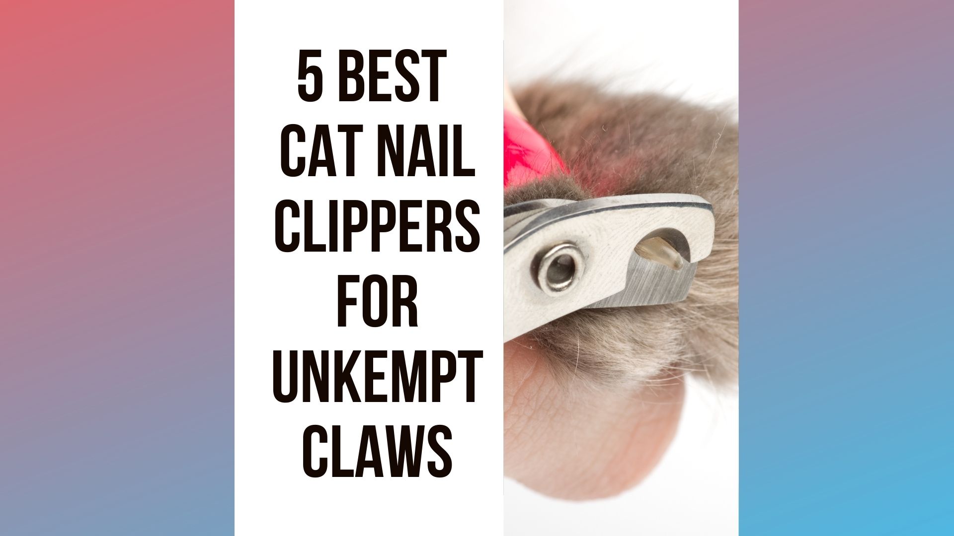 Best Cat Nail Clippers